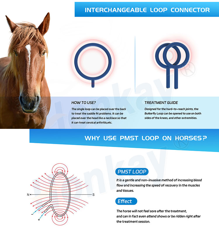 equine pulse machine