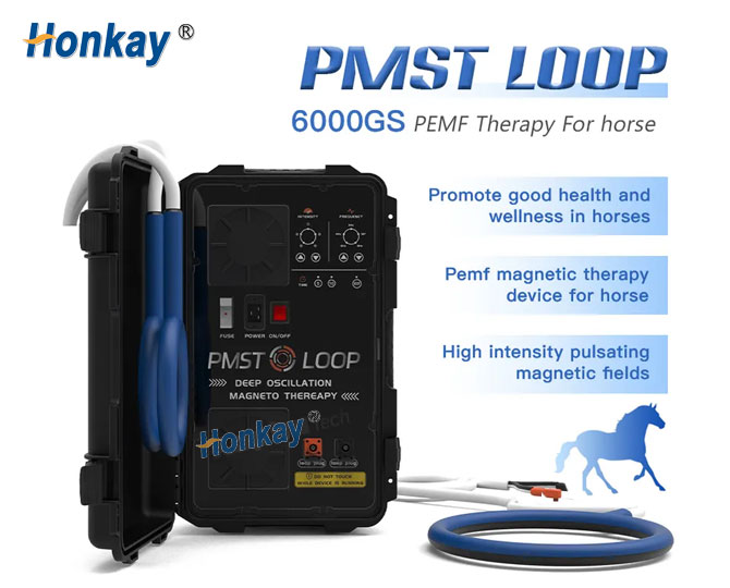 equine pulse therapy machine