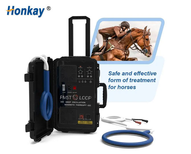 pulse equine machine for sale
