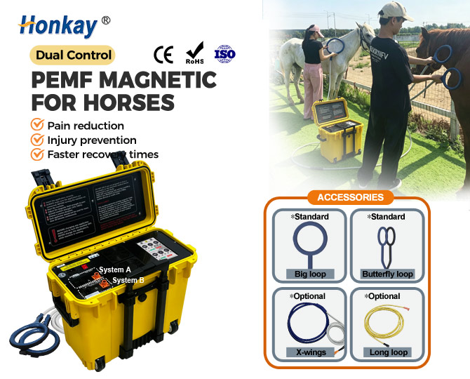 Dual-Channel Equine PEMF Therapy Device