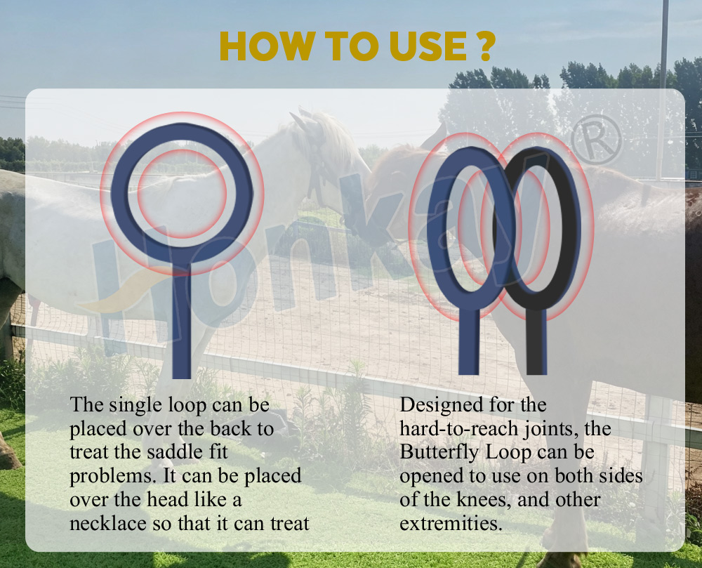 Dual control Equine Rehabilitation PEMF Equipment