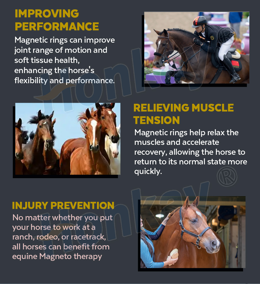 Dual control Equine Rehabilitation PEMF device