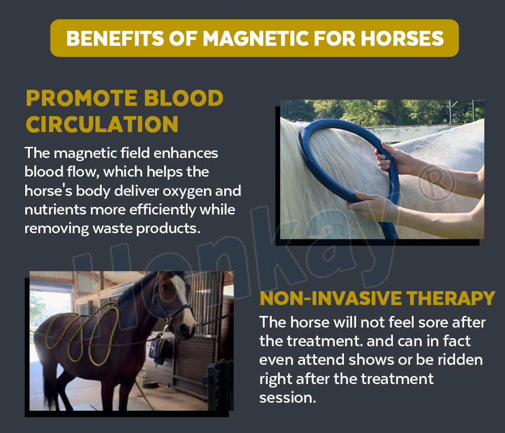 Dual control Equine Rehabilitation PEMF machine