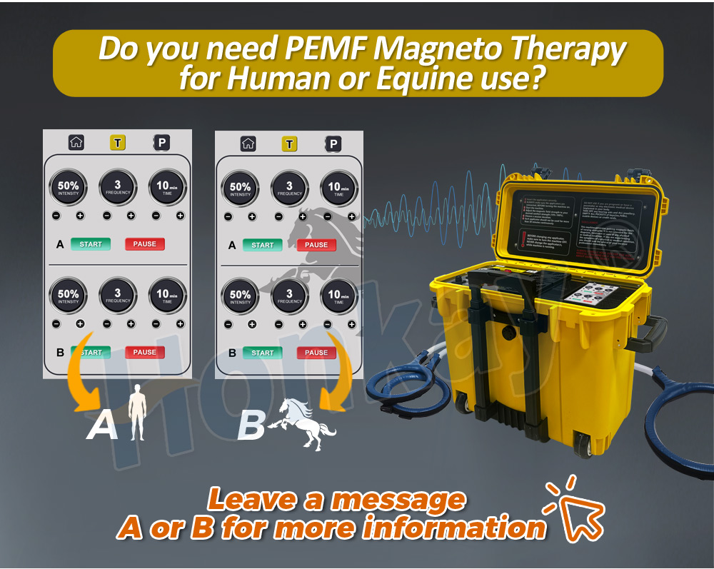 Equine PEMF Recovery Therapy Machine