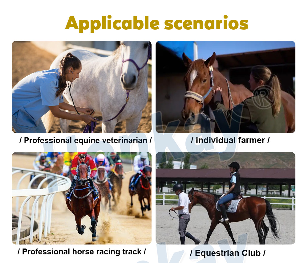 Equine PEMF Recovery Therapy device