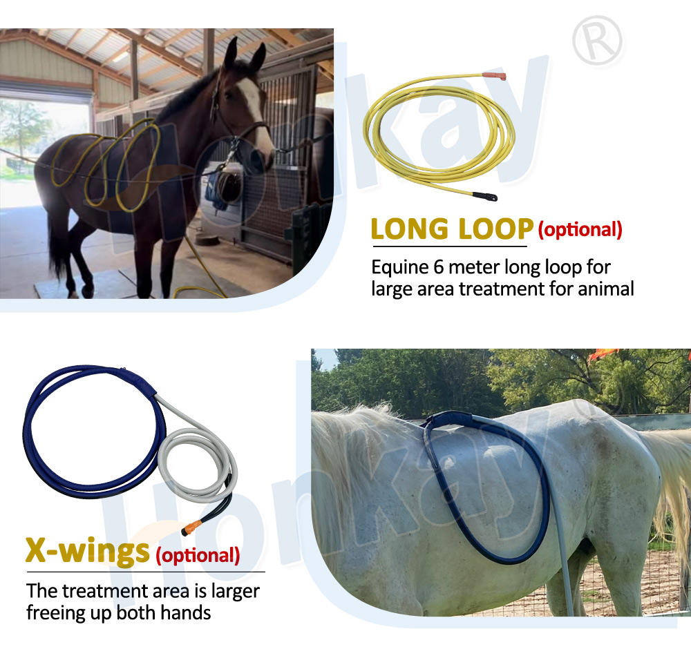 Professional Equine PEMF Therapy device