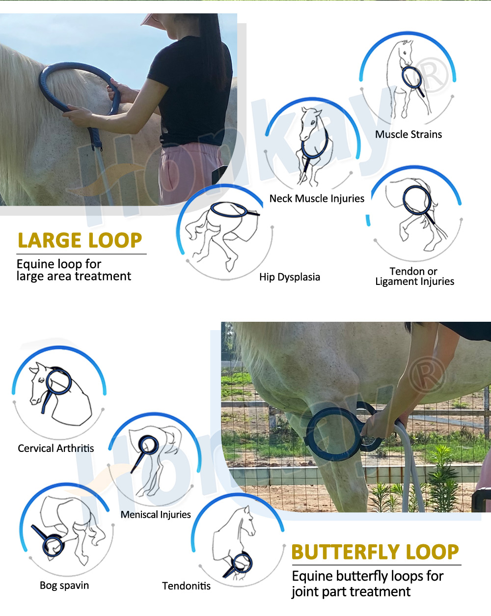 Professional Equine PEMF Therapy machine