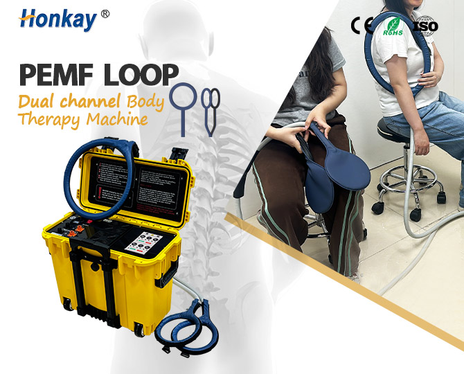 Bin‑Type Dual‑Control PEMF Magnetic device
