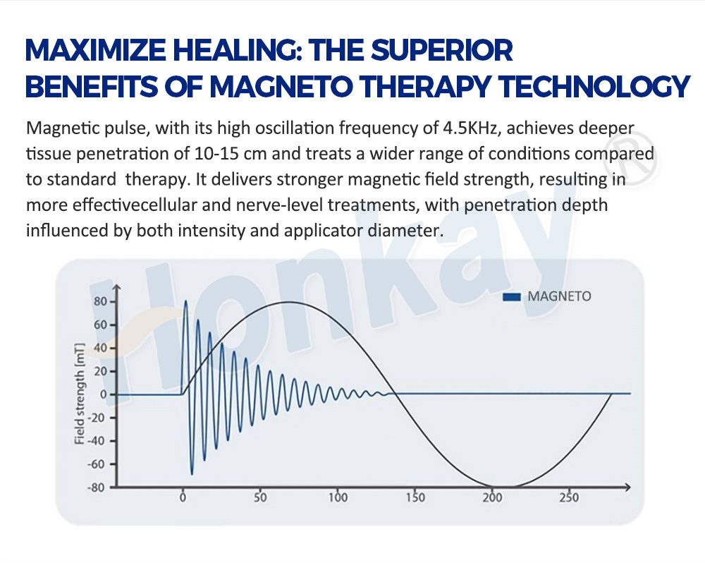 Two‑Person Operable PEMF Wellness device