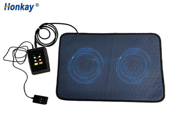 Home Use PEMF Mat