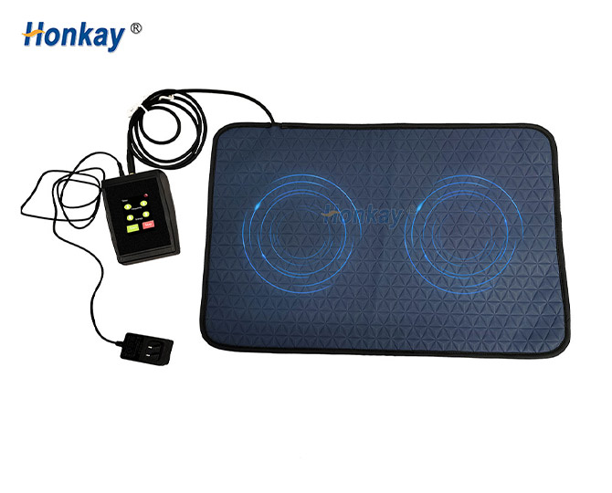Home use PEMF therapy mat for retail and wellness channels
