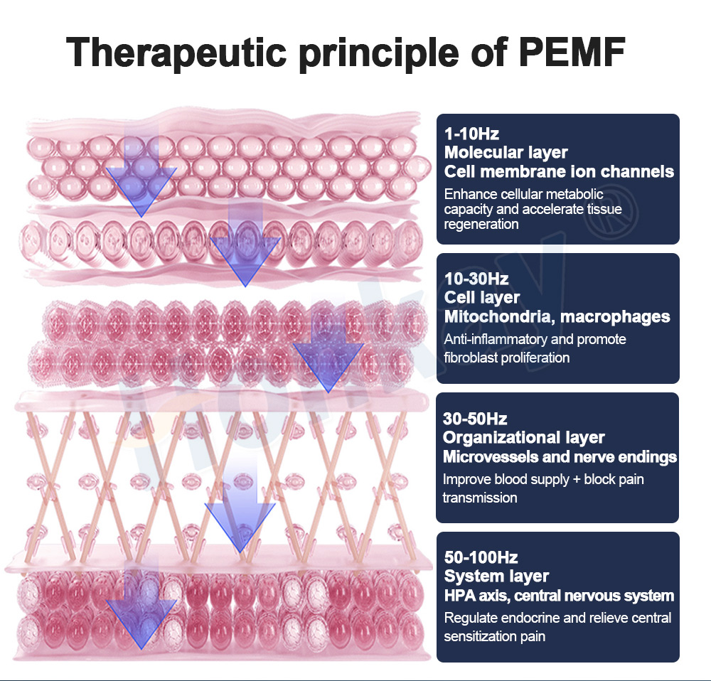 Pemf Magnetic Therapy mat Device 