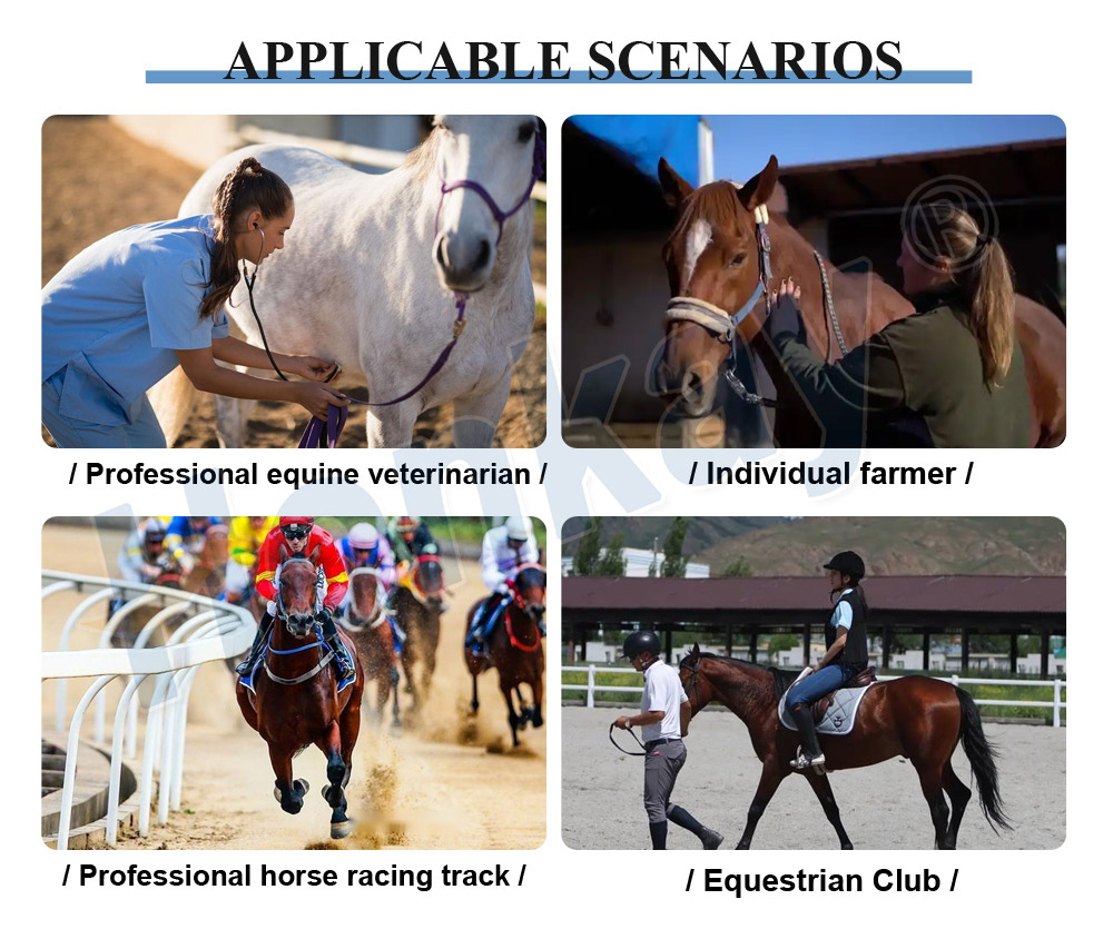 durable pemf device for horse rehabilitation