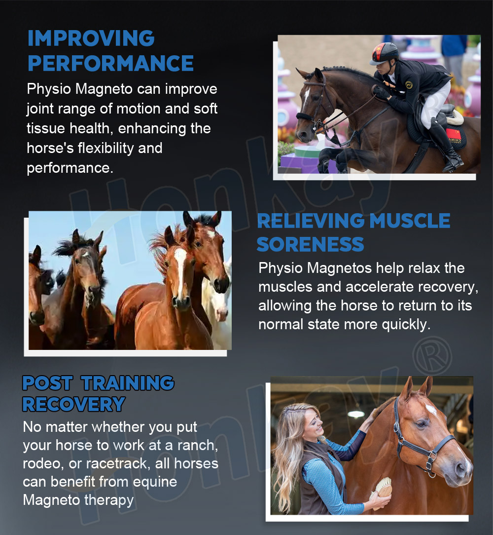 durable pemf machine for horse rehabilitation