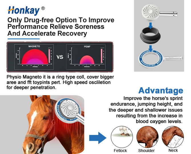 hard‑shell pemf loop device for horse