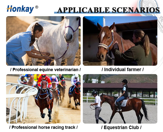 hard‑shell pemf loop equipment for horse