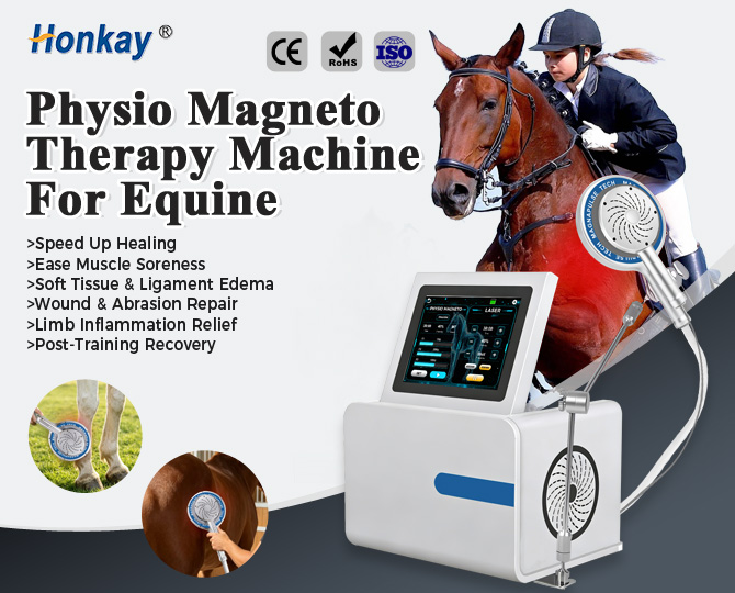 hard‑shell pemf massage machine for horse