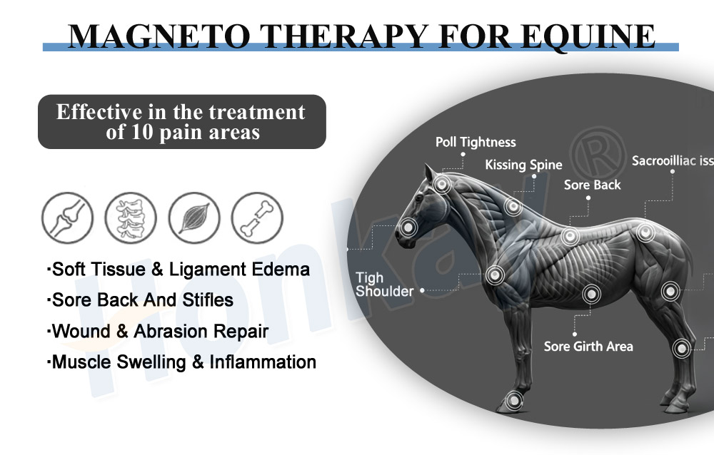 horse pemf recovery equipment