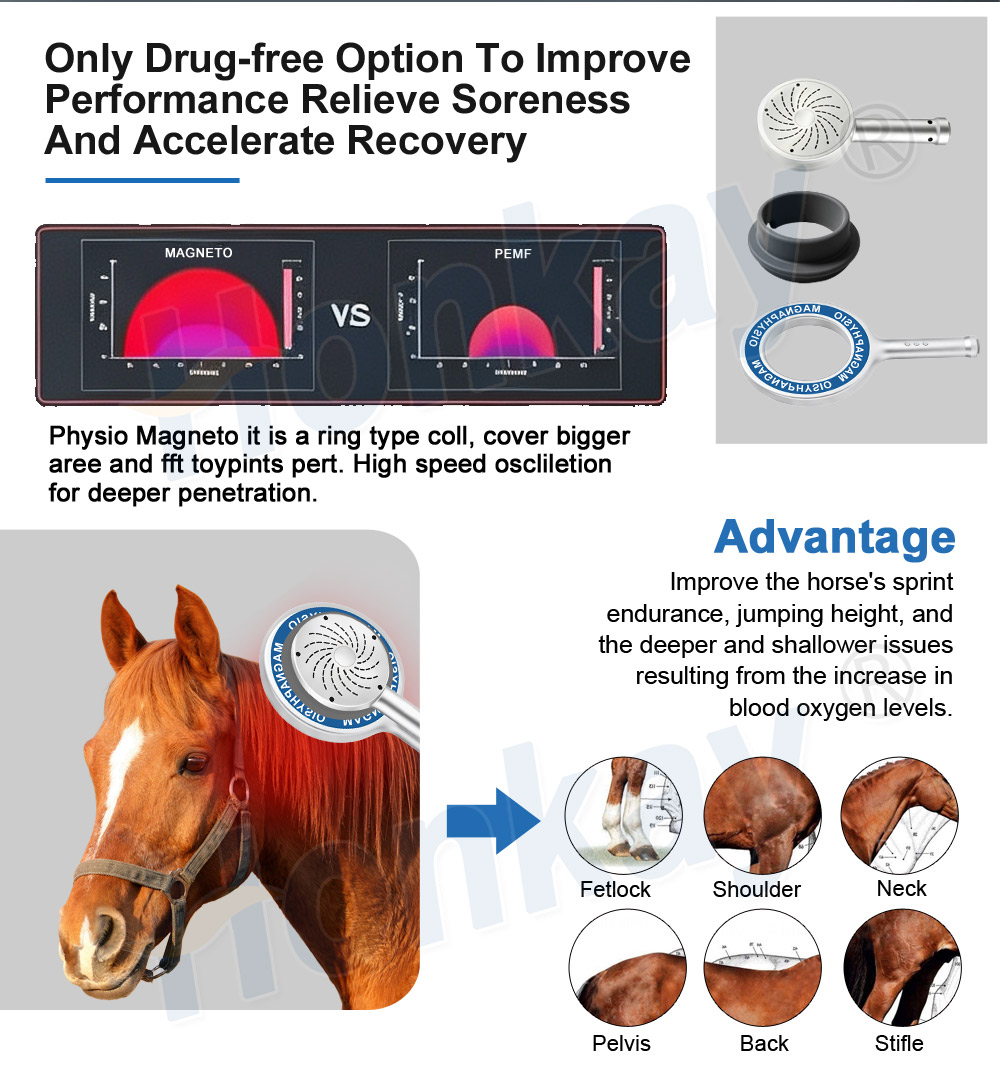 horse pemf recovery machine