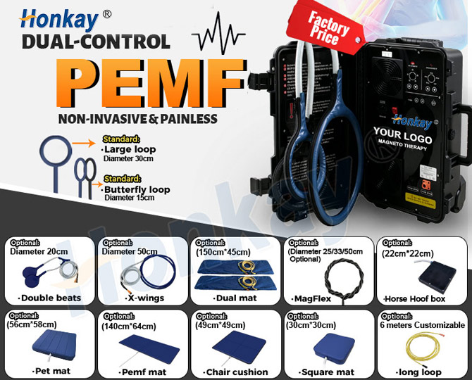 pulse electromagnetic therapy mat