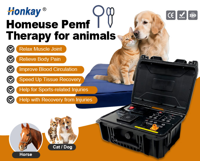 Animal pain relief pemf machine
