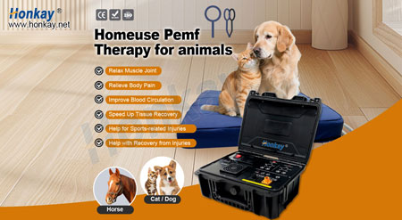 Magnetic PEMF loop massage machine
