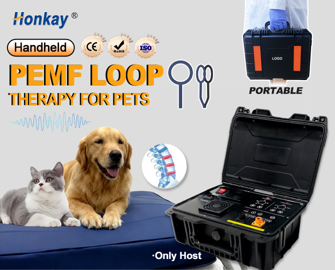 Non-invasive animal PEMF therapy machine