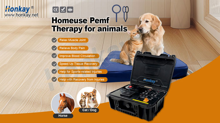 Portable PEMF machine