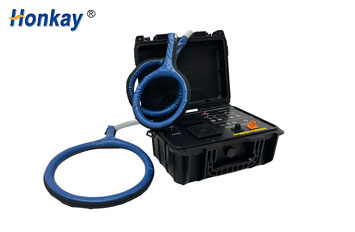 Veterinary PEMF device1