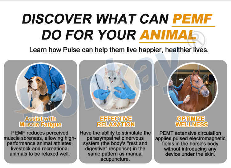 pemf therapy device for pets
