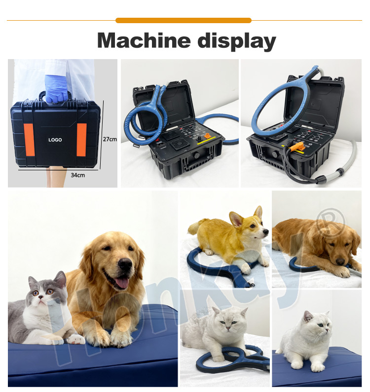 pemf device for animal