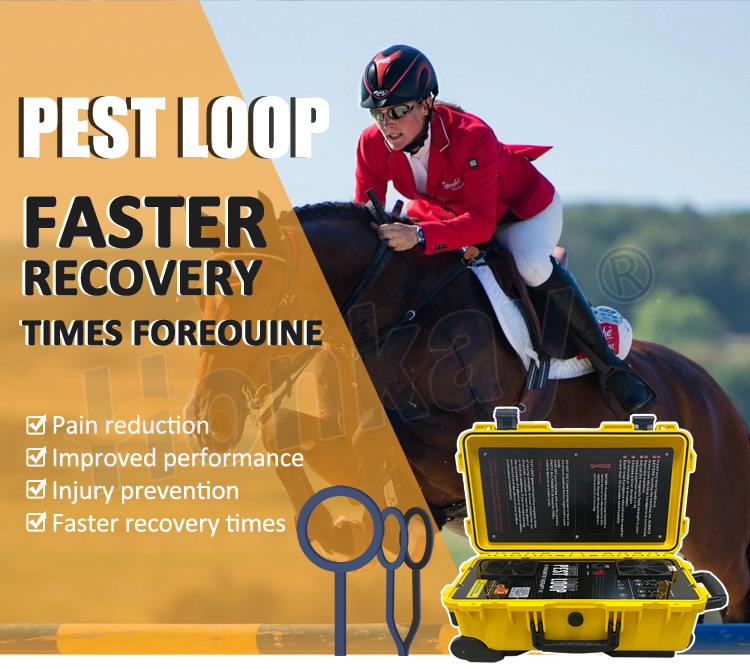 pemf loop machine for horses