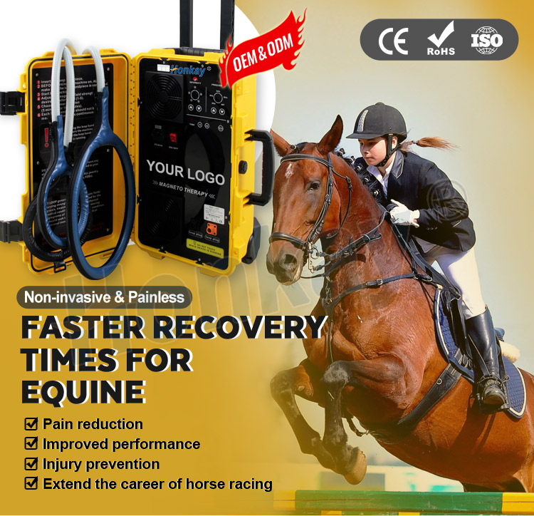 pemf machine for sale