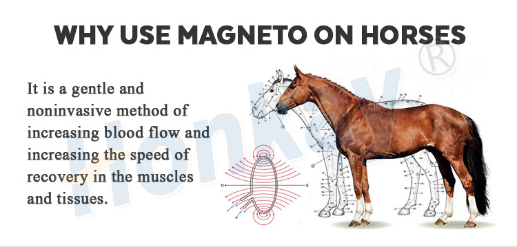 pemf machine for sale