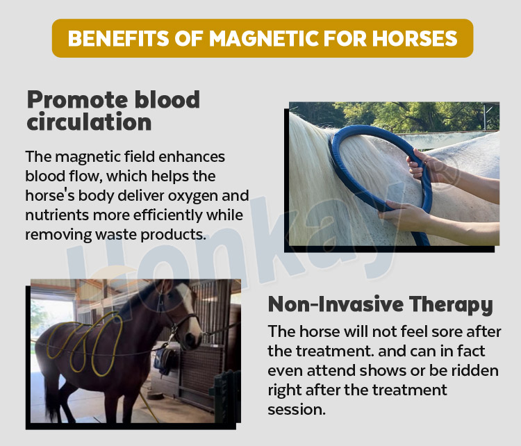 pemf machine for sale