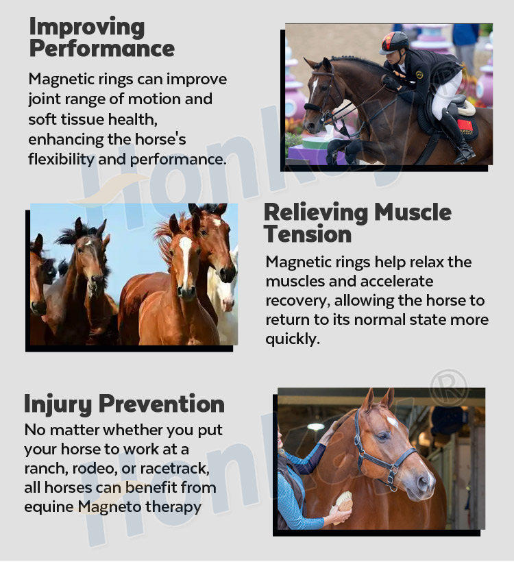 pemf machine for sale