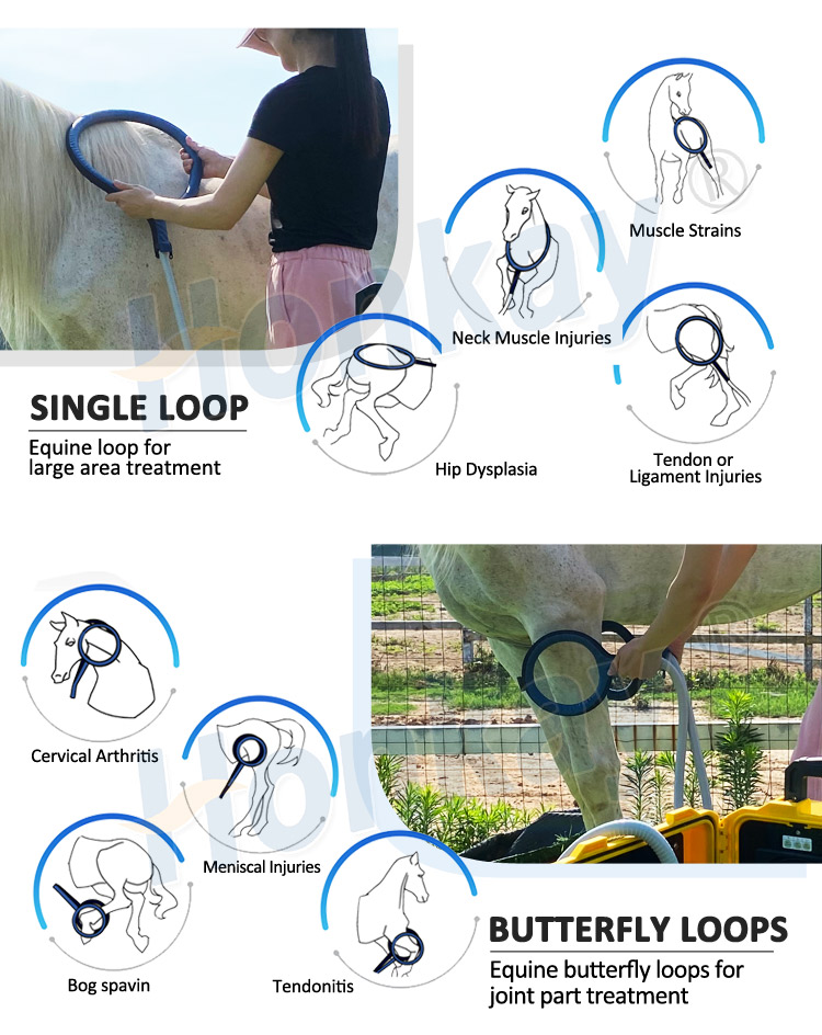 pemf machine for sale