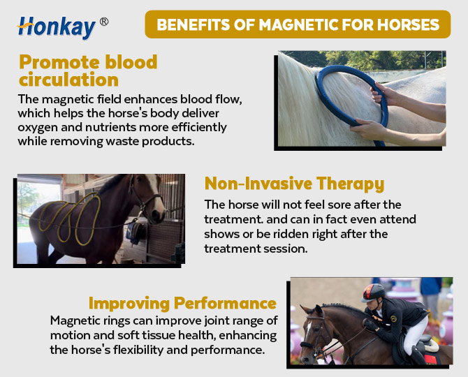 pemf machine for sale