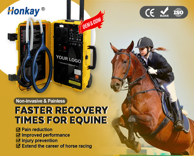 pulsed electromagnetic field device