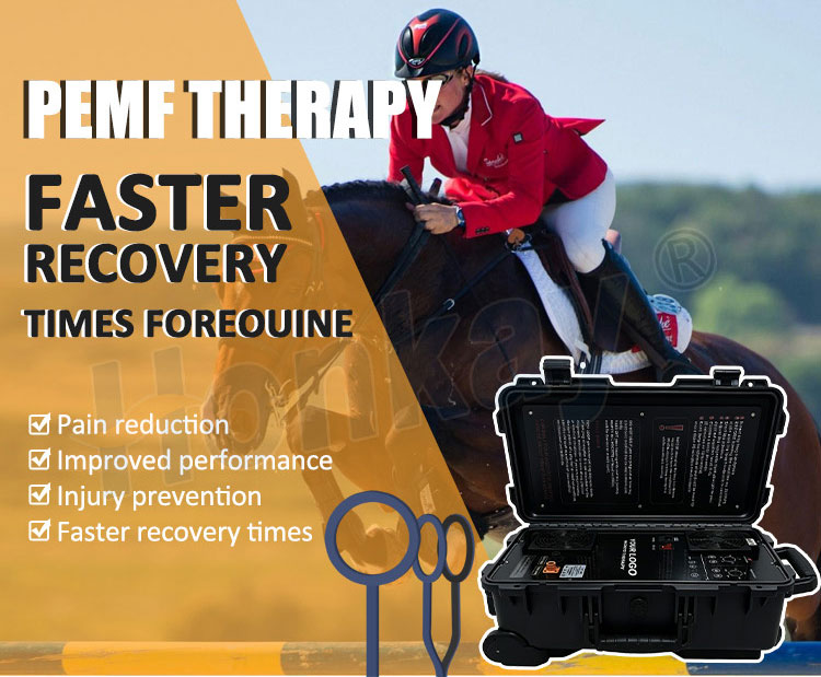 animal PEMF magnetic therapy device