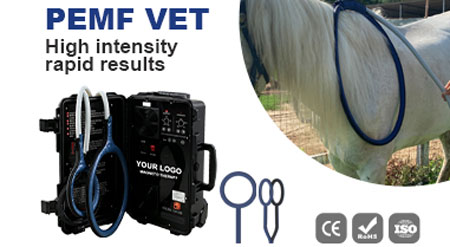portable PEMF rehabilitation equipment