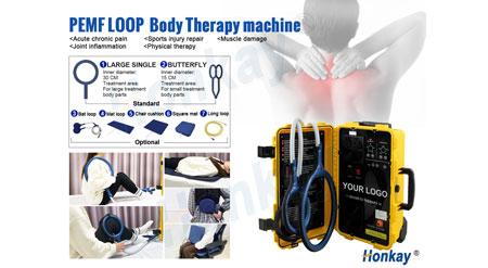 Portable PEMF machine for horse