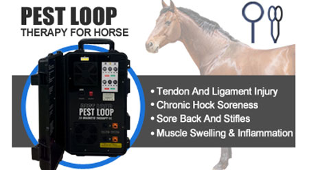 Dual Control PEMF pain relief device