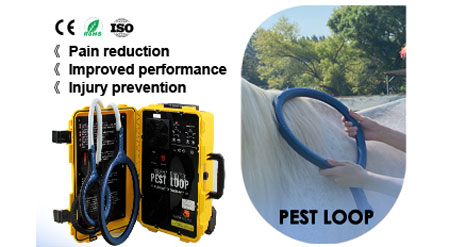 Equine PEMF magnetic therapy device
