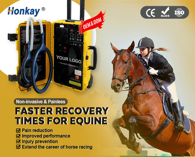Portable horse PEMF rehab machine