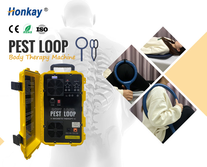pest loop