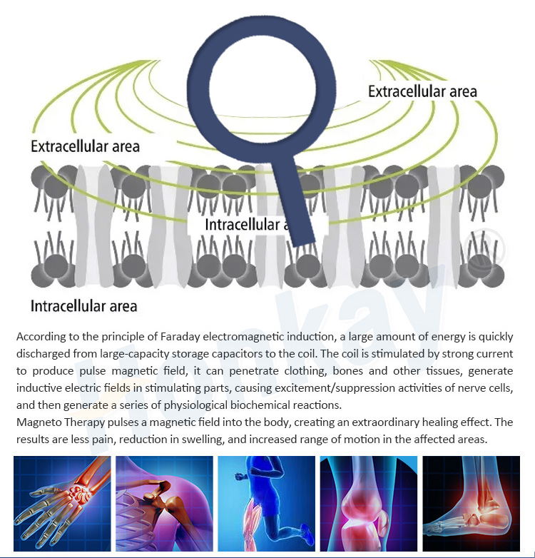 pemf therapy machine for sale