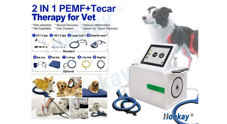 2 in 1 tecar PEMF machine