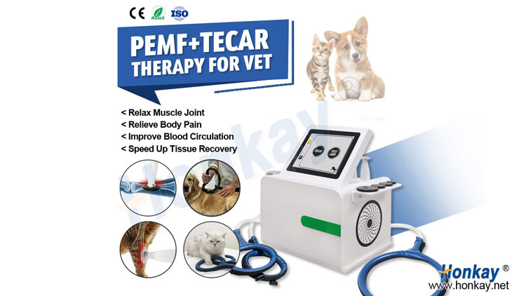 CET RET PEMF machine