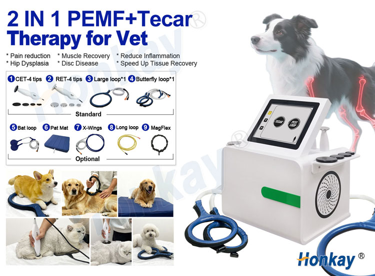 OEM ODM 2in1 tecar PEMF equipment